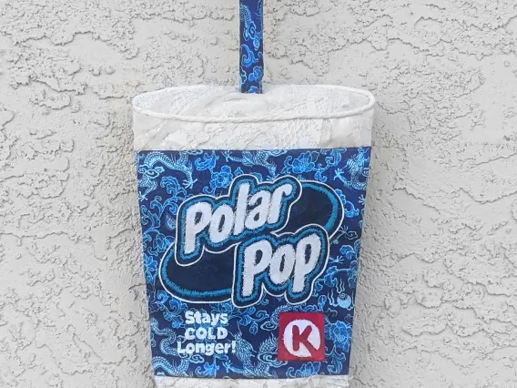 audrey wanter art piece showing polar pop